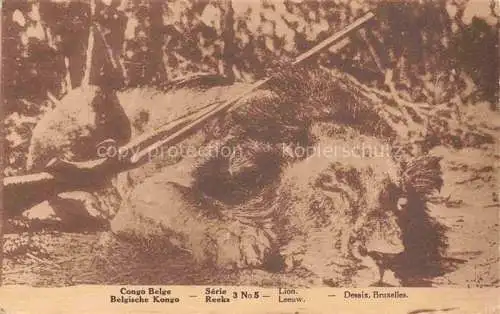 AK / Ansichtskarte Loewe Lion-- Congo Belge Desaix Bruxelles 