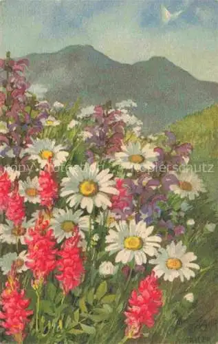 AK / Ansichtskarte HALLER Anna Kuenstlerkarte Bergen Blumen fleurs