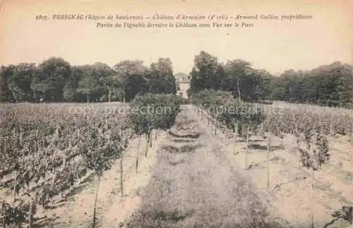 AK / Ansichtskarte Preignac Bordeaux 33 Gironde Partie du Vignoble derriere le Chateau avec Vue sur le Parc
