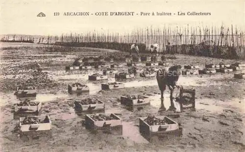 AK / Ansichtskarte ARCACHON 33 Gironde Parc a huitres Les Collecteurs
