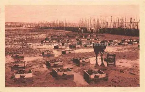 AK / Ansichtskarte ARCACHON 33 Gironde Parc d'Huitres Les Collecteurs La recolte