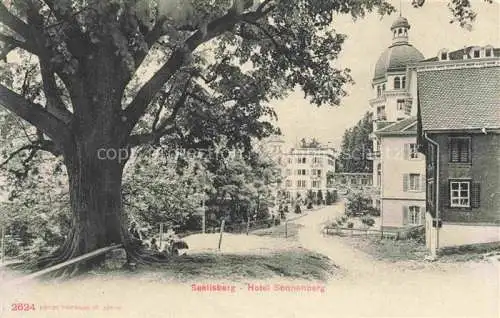 AK / Ansichtskarte Seelisberg UR Hotel Sonnenberg