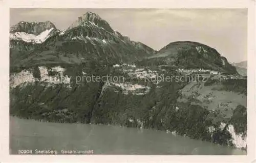 AK / Ansichtskarte Seelisberg UR Panorama