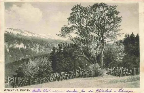 AK / Ansichtskarte Gemmenalphorn 2062m Beatenberg BE Panorama