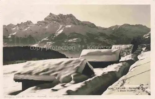 AK / Ansichtskarte Leysin VD Dents du Midi