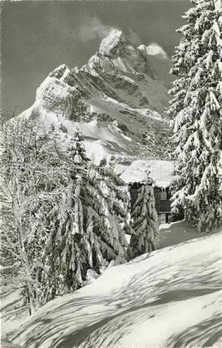 AK / Ansichtskarte Braunwald GL mit Ortstock
