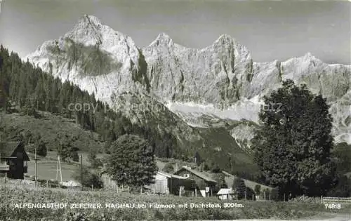 AK / Ansichtskarte Hachau Filzmoos Pinzgau-Pongau AT Alpengasthof Zeferer mit Dachstein