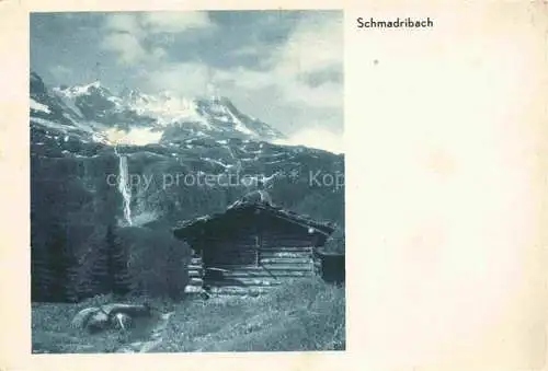 AK / Ansichtskarte Schmadribach Interlaken BE Berghuette Panorama
