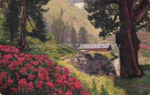 AK / Ansichtskarte Photochromie Verlag Photochromie Nr. 1186 Serie 545 Rhododendron ferrugineum 