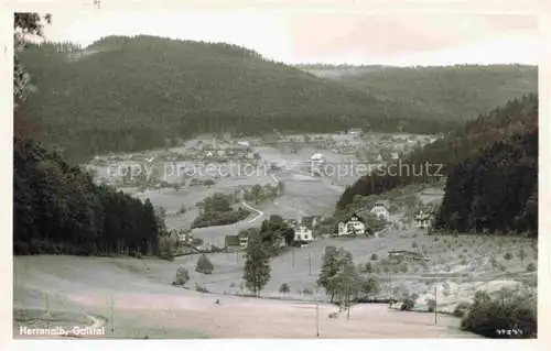 AK / Ansichtskarte Herrenalb BAD HERRENALB BW Panorama Gaistal