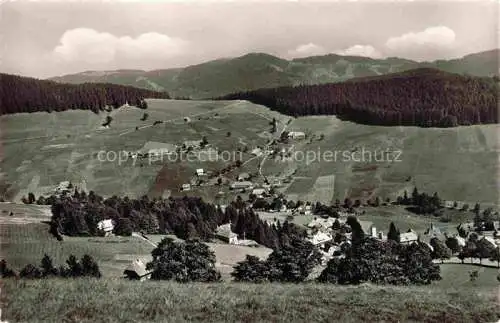 AK / Ansichtskarte Todtnauberg Blick auf Bergerhoehe