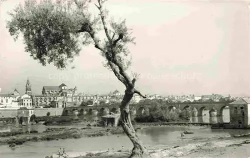 AK / Ansichtskarte Cordoba Andalucia ES Panorama Viadukt