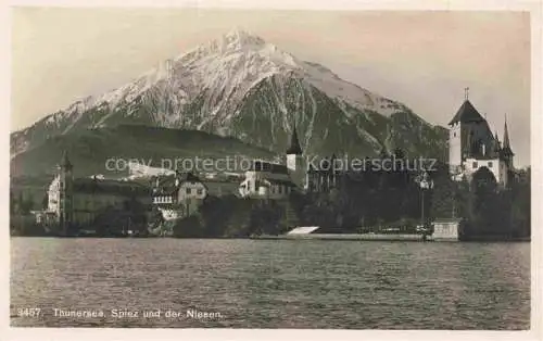 AK / Ansichtskarte SPIEZ Thunersee BE mit Niesen