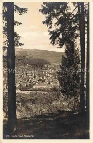 AK / Ansichtskarte Eberbach Baden Neckar HEIDELBERG BW Panorama