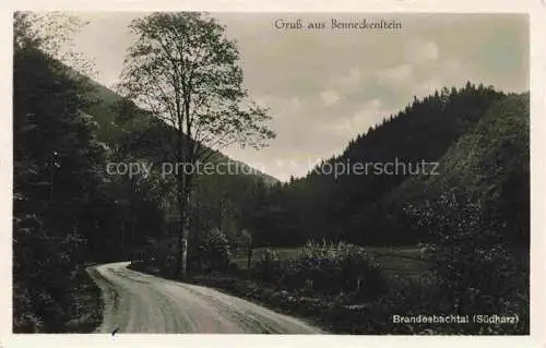 AK / Ansichtskarte Benneckenstein Harz Sachsen-Anhalt Brandesbachtal
