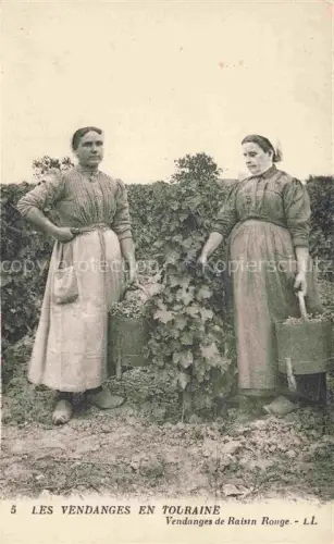 AK / Ansichtskarte Wein Wine Vin Vino-- Les Vendanges en Touraine