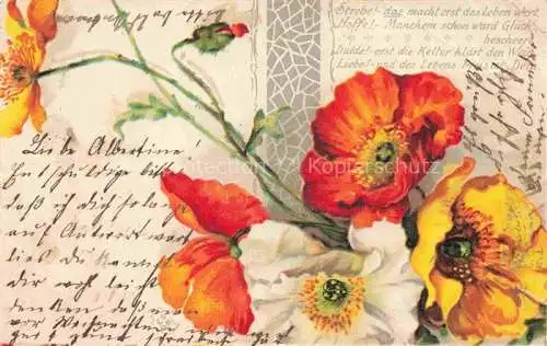 AK / Ansichtskarte Mohnblumen Poppies Coquelicots Papaveri Amapolas-- Litho Weis Gelb Rot 