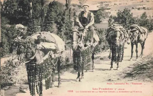 AK / Ansichtskarte Esel Tiere Courrier de la Seo Urgel Andorra 