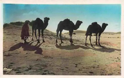 AK / Ansichtskarte Kamele  Camel Chameau-- Afrika Dans gransd Desert 