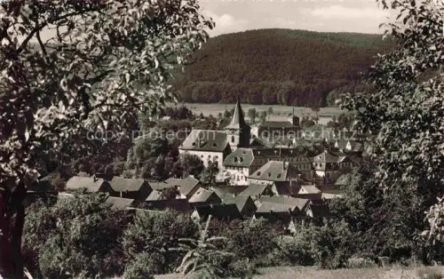 AK / Ansichtskarte Bad Koenig Odenwald Hessen Panorama