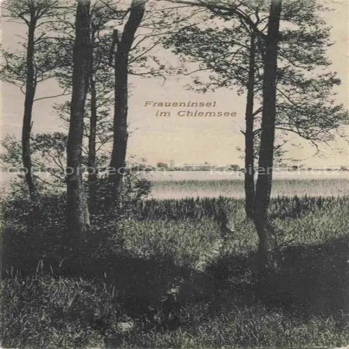 AK / Ansichtskarte Fraueninsel Chiemsee Panorama