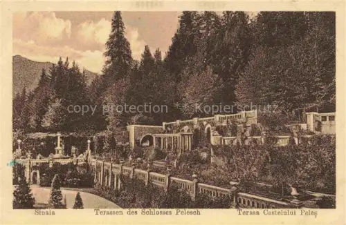 AK / Ansichtskarte Sinaia RO Terrassen des Schlosses Pelesch