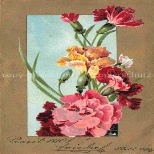 AK / Ansichtskarte Nelken Carnations Oeillets Claveles Garofani-- Prosit 