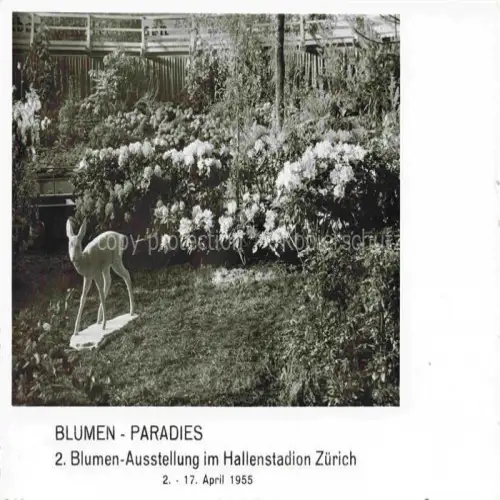 AK / Ansichtskarte ZueRICH  ZH Blumen Paradies im Hallenstadion Zuerich