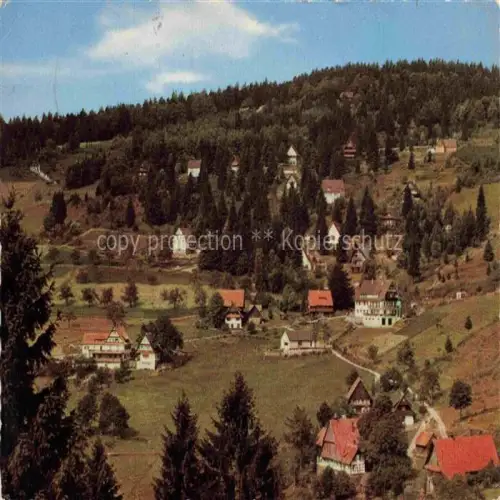 AK / Ansichtskarte Brandmatt Sasbachwalden Ortenaukreis BW Panorama
