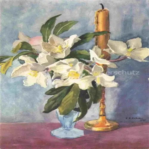 AK / Ansichtskarte Schlatter E.E. Kuenstlerlitho Schweiz Uttwil Christrosen 