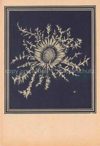 AK / Ansichtskarte WEIss J. Kuenstlerkarte Silberdistel