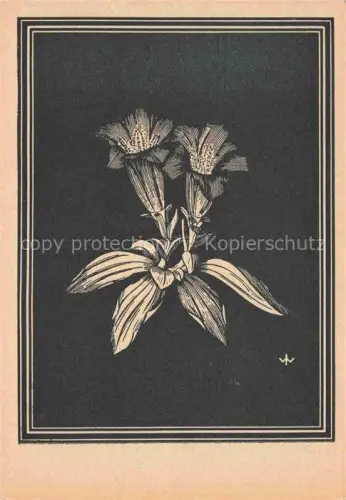 AK / Ansichtskarte WEIss J. Kuenstlerkarte Keulen Enzian