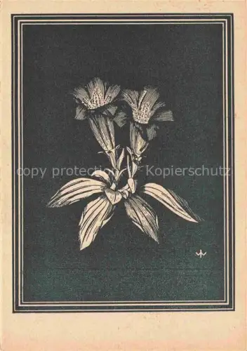 AK / Ansichtskarte WEIss J. Kuenstlerkarte Keulen Enzian