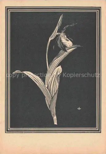 AK / Ansichtskarte WEIss J. Kuenstlerkarte Frauenschuh