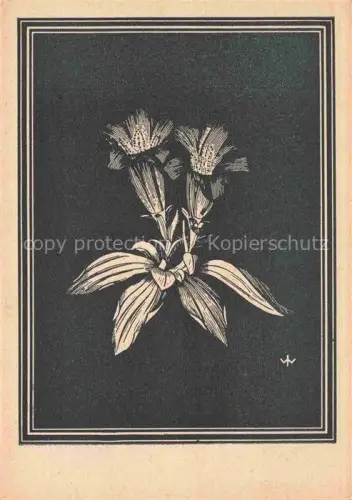 AK / Ansichtskarte WEIss J. Kuenstlerkarte Keulen Enzian