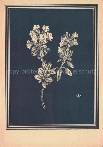 AK / Ansichtskarte WEIss J. Kuenstlerkarte Behaarte Alpenrose