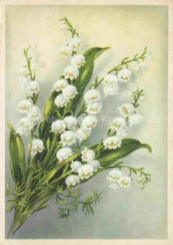 AK / Ansichtskarte Maigloeckchen Lily of the Valley Muguet Mughetto-- 