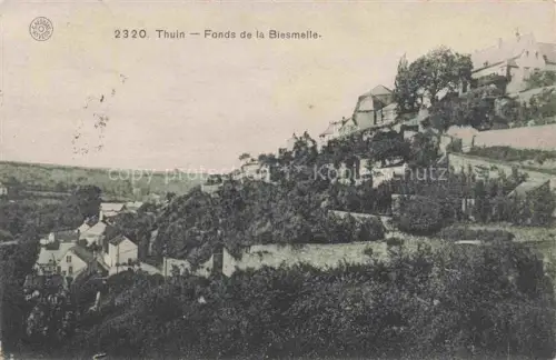 AK / Ansichtskarte Thuin Wallonie Belgie Fonds de la Biesmelle