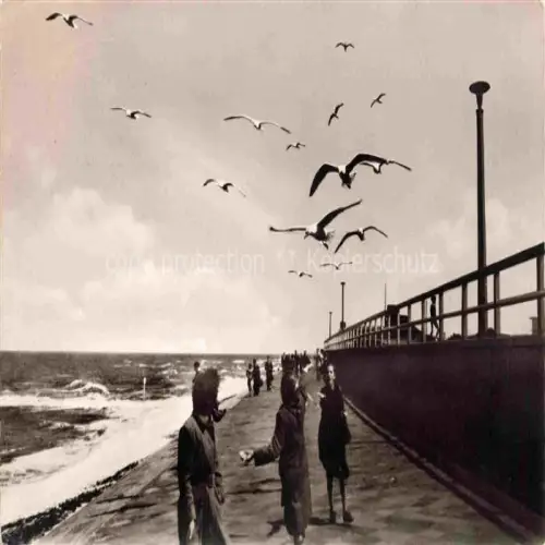 AK / Ansichtskarte NORDERNEY Nordseebad Strandpromenade Moewen