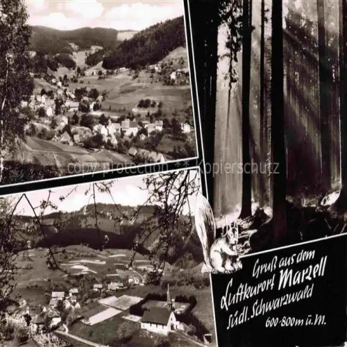 AK / Ansichtskarte Marzell Malsburg-Marzell Kandern BW Panorama Schwarzwald Waldspaziergang Eichhoernchen