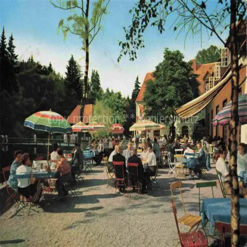 AK / Ansichtskarte Leopoldstal Lippe Waldhotel Pension Silbermuehle Terrasse Teutoburger Wald