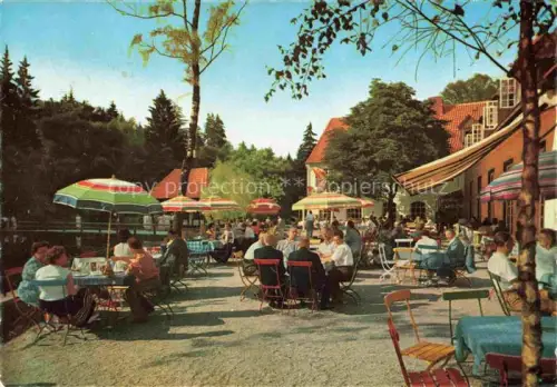 AK / Ansichtskarte Leopoldstal Lippe Waldhotel Pension Silbermuehle Terrasse