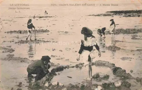 AK / Ansichtskarte Saint-Valery-en-Caux St-Valery-en-Caux 76 Seine-Maritime A Maree Basse