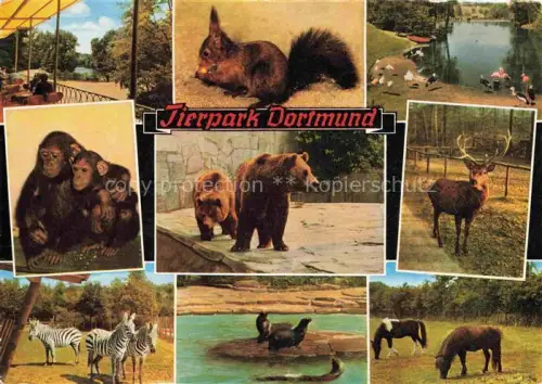 AK / Ansichtskarte Zoo Gardin Zoologique-- Tierpark Dortmund Affen Pferde Zebras Baer Seeloewe Hirsch