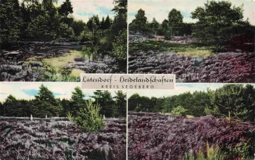 AK / Ansichtskarte Latendorf Segeberg Schleswig-Holstein Heidelandschaften