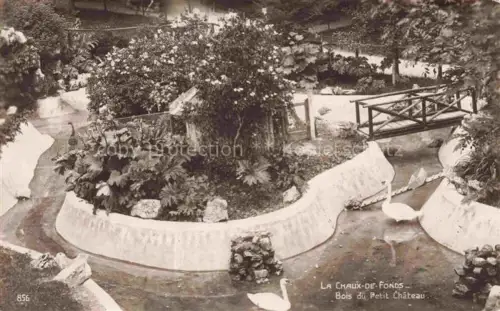 AK / Ansichtskarte LA CHAUX-DE-FONDS NE Bois du Petit Chateau
