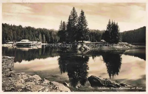 AK / Ansichtskarte Waldhaus Flims GR Caumasee mit Insel