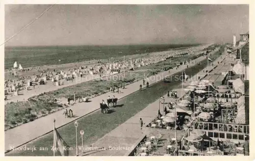AK / Ansichtskarte NOORDWIJK aan Zee Nordwijk aan Zee NL Wilhelmina Boulevard