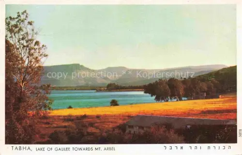 AK / Ansichtskarte Tabha Lake of Galilee See Genezareth Israel Lake of Galilee towards Mount Arbel