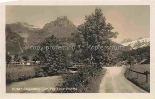 AK / Ansichtskarte Engelberg  OW Am Professorenweg Alpen